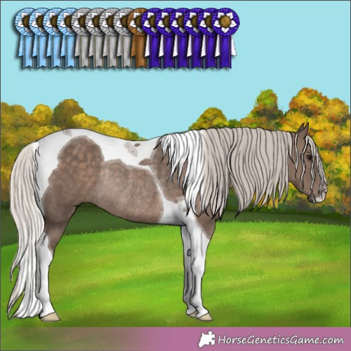 Horse Color: Silver Black Tobiano Rabicano 