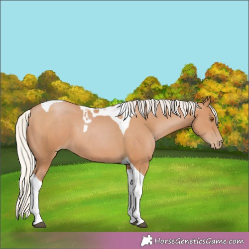 Horse Color: Silver Black Pearl Tobiano 