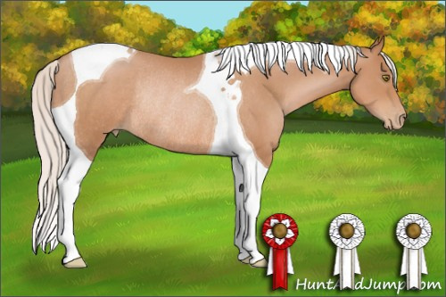 Horse Color: Silver Brown Pearl Tobiano Rabicano 