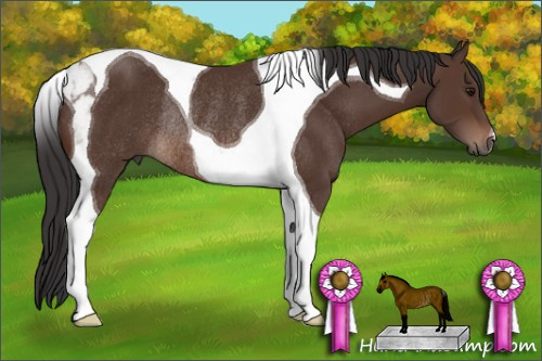 Horse Color: Brown Tobiano Rabicano 