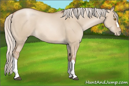 Horse Color: Silver Grullo Pearl 