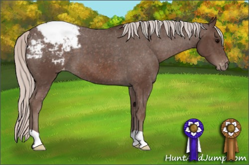 Horse Color: Silver Brown Snowcap 