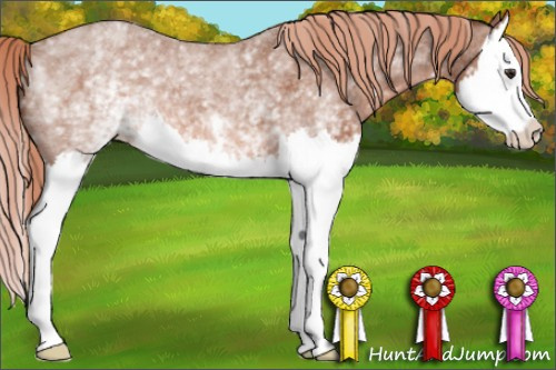 Horse Color: White Spotted Liver Red Roan Splash 