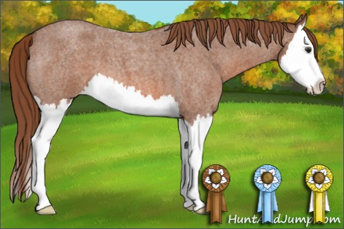 Horse Color: Liver Red Roan Splash Blanket 