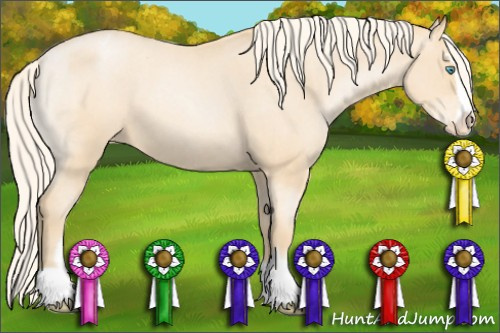 Horse Color: Chocolate Palomino Roan Pearl Mushroom Sabino Blanket 