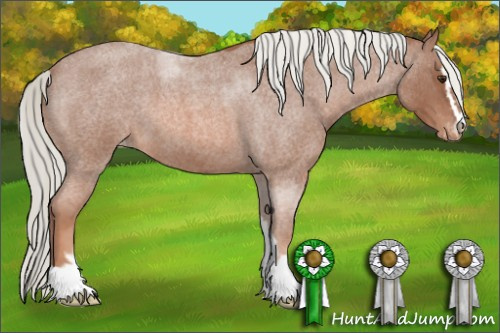 Horse Color: Liver Red Roan Mushroom Sabino Varnish 