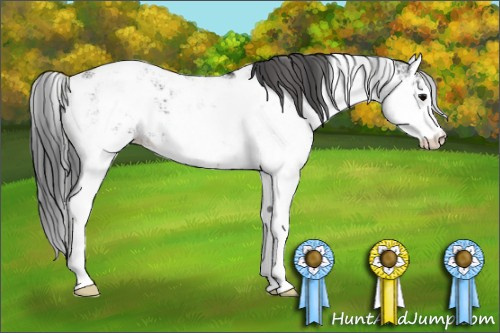 Horse Color: Brown Sabino Leopard 