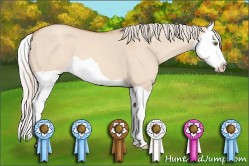 Horse Color: Silver Classic Champagne Dun Splash 