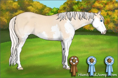 Horse Color: Silver Classic Champagne Dun Splash 