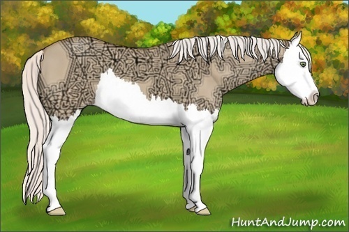 Horse Color: Silver Amber Champagne Ice Dun Splash 