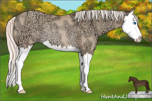 Horse Color: Silver Classic Champagne Ice Dun Splash Rabicano 