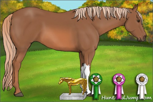Horse Color: Liver Chestnut 