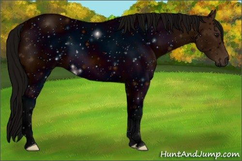 Horse Color: ERROR: UNKNOWN ANOMALY