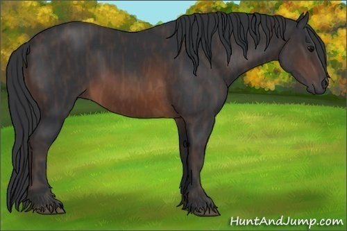 Horse Color: Brown Rabicano  Brindle