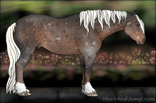 Horse Color: Liver Chestnut 