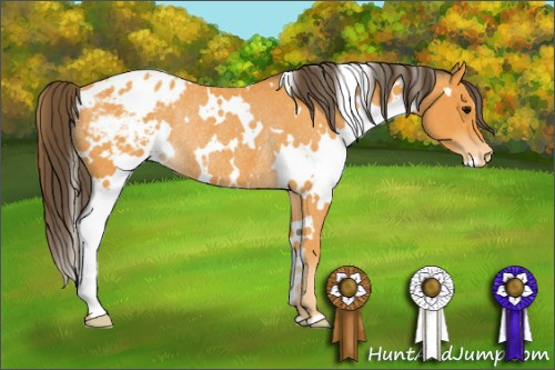 Horse Color: White Spotted Buckskin Blanket Rabicano 