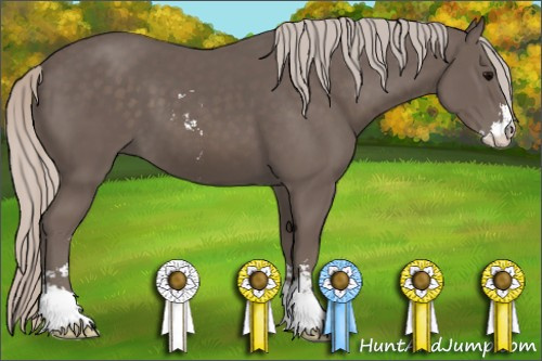 Horse Color: Silver Black Sabino 