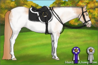 Horse Color:White Spotted Gold Champagne Tobiano Frame 