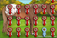 Horse Color:Liver Chestnut Appaloosa