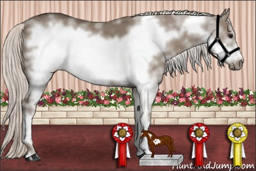 Horse Color: White Spotted Silver Grullo Frame 