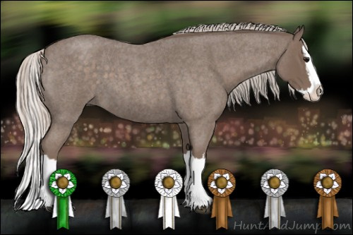 Horse Color: Silver Blue Roan Splash 