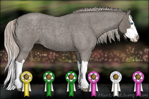 Horse Color: Silver Blue Roan Splash 
