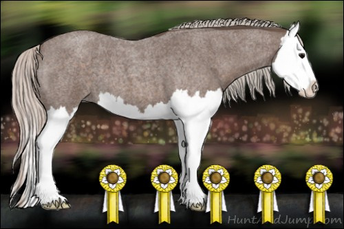 Horse Color: Silver Blue Roan Splash 