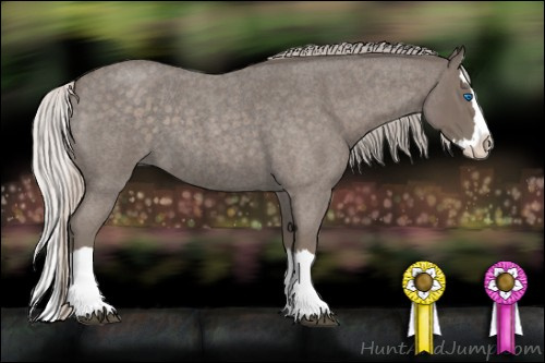 Horse Color: Silver Blue Roan Splash 
