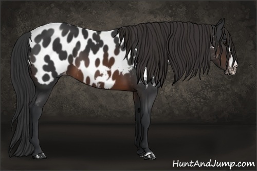 Horse Color: Brown Frame Blanket 