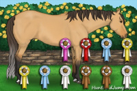 Horse Color:Buckskin Dun 