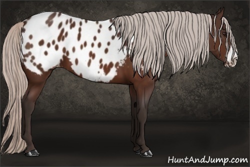 Horse Color: Silver Brown Frame Blanket 