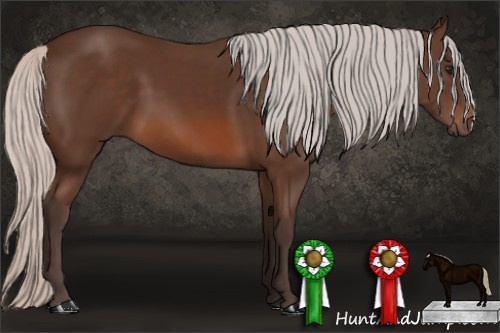 Horse Color: Silver Brown 