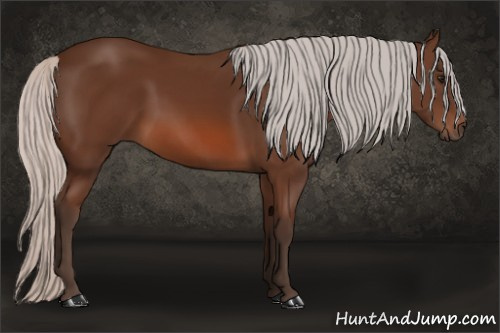 Horse Color: Silver Bay 