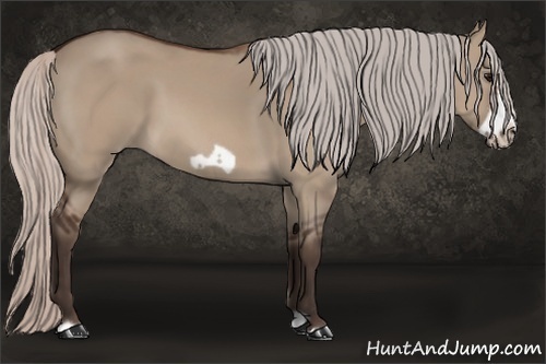 Horse Color: Silver Brown Dun Frame 