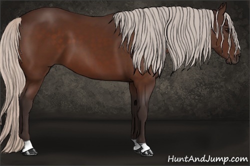 Horse Color: Silver Bay 