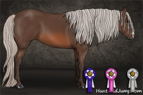 Horse Color: Silver Brown 