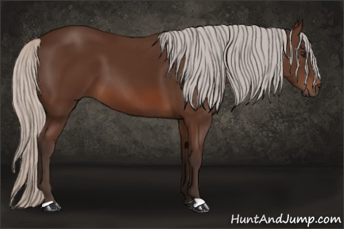 Horse Color: Silver Brown 