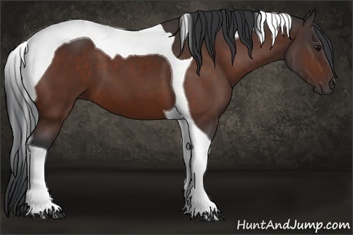 Horse Color: Bay Tobiano 