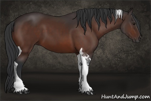 Horse Color: Bay Tobiano 