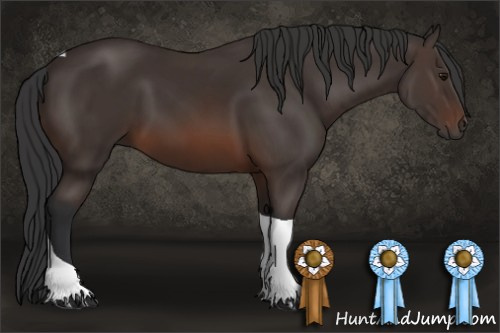 Horse Color: Brown Tobiano 