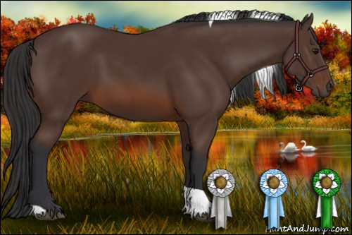 Horse Color: Brown Tobiano 