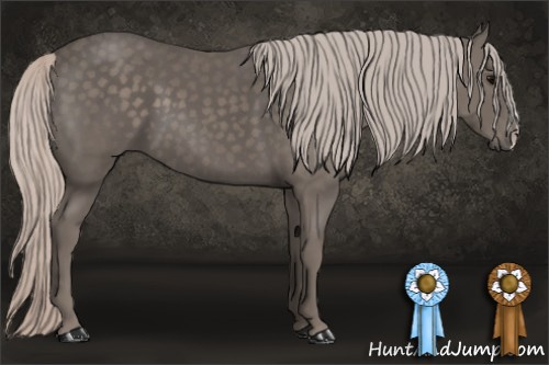 Horse Color: Silver Brown 