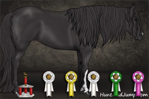 Horse Color: Buckskin 