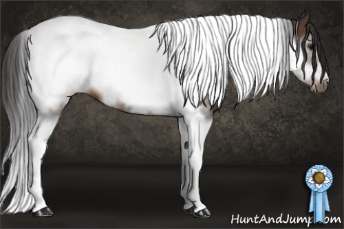 Horse Color: Brown Tobiano Frame 