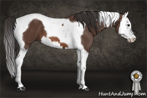 Horse Color: Bay Splash Tobiano 