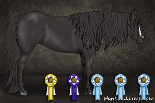 Horse Color: Buckskin 