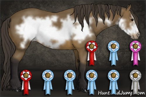 Horse Color: Buckskin Frame 