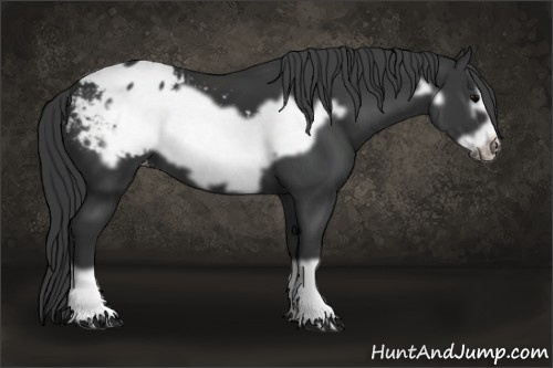 Horse Color: Brown Frame Blanket 