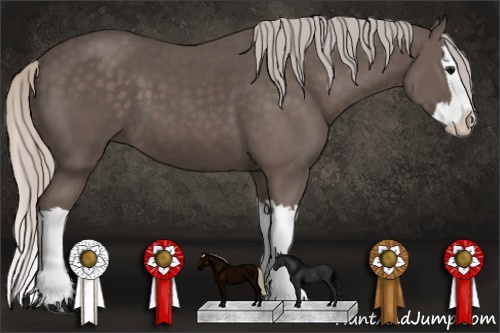 Horse Color: Silver Black Splash 