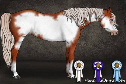 Horse Color: Silver Brown Frame 